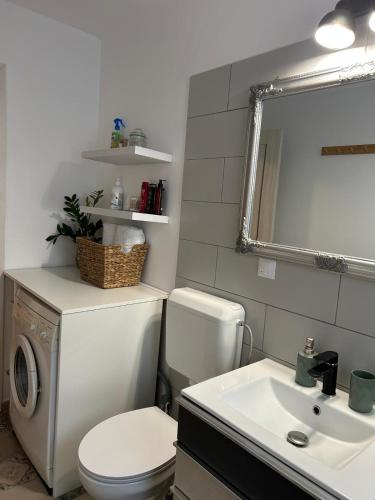 a bathroom with a toilet and a sink and a mirror at VYO Studio in Braşov