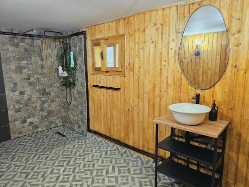a bathroom with a sink and a wooden wall at Cabana din Tei, 5 Camere si Semineu, Costisata, Dambovita in Costişata