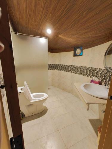 a bathroom with a toilet and a sink at Moksha Resort Hunza in Chamangul