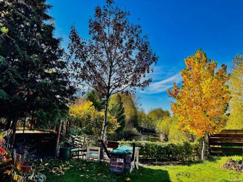 a garden in the fall with trees and a fence at Beautiful Rustic Cabin in Prejmer