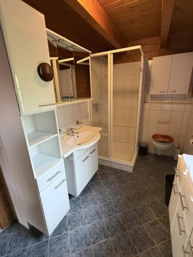 a bathroom with a sink and a shower and a toilet at Idylle Ferienhaus Ems in Walchum