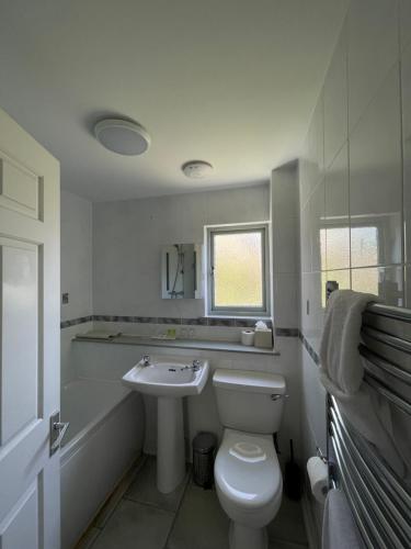 a white bathroom with a toilet and a sink at The Old Library in Arisaig