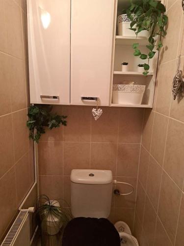 a bathroom with a toilet and a cabinet with plants at Pension Renata in Šediviny