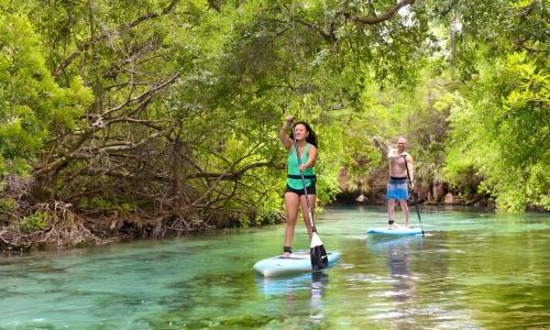 Water Hideout - Floating Luxury in Pure Wilderness
