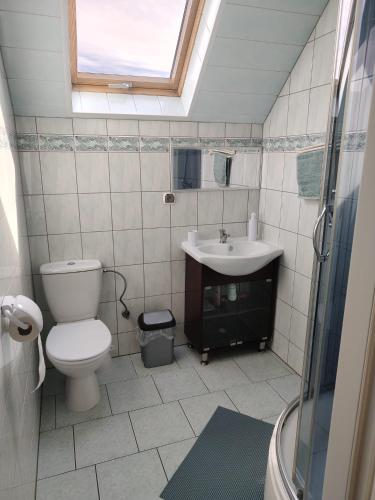 a bathroom with a toilet and a sink at Apartament Wisełka nad jeziorem in Wisełka