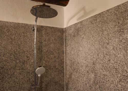 a shower in a bathroom with a ceiling at Verzasca Lodge Cassiopea in Frasco