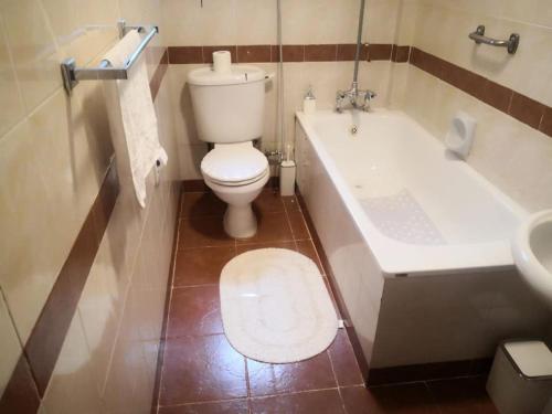 a bathroom with a toilet and a tub and a sink at The Olive Homes in Nairobi