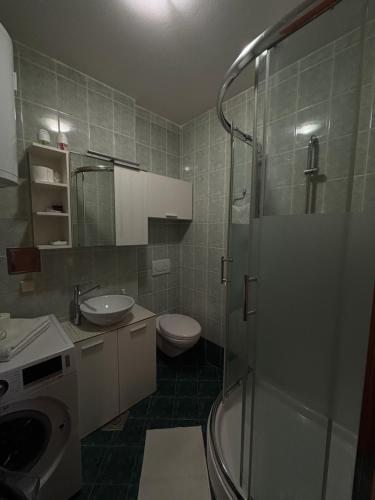 a bathroom with a shower and a toilet and a sink at Apartment T&T in Lovran