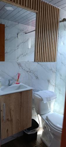 a bathroom with a toilet and a sink and a mirror at La Cabañita VIP Amanecer in Minca