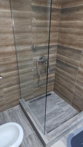 a bathroom with a shower with a toilet and a sink at Kuca za odmor Labud in Donji Milanovac
