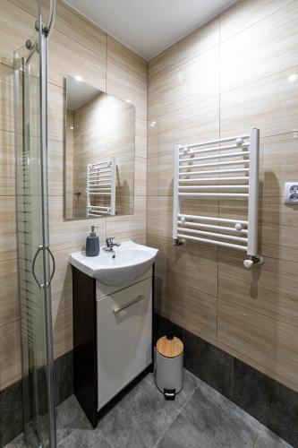 a bathroom with a sink and a shower at Agroturystyka Gościniec Ethoria in Łomnica