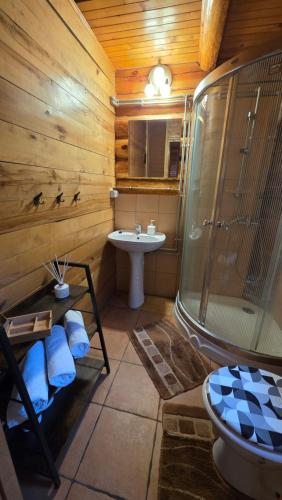 a bathroom with a shower and a sink at Domek przy stajni in Wielki Głęboczek