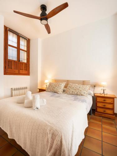 Charming Spacious Albayzin Apartment