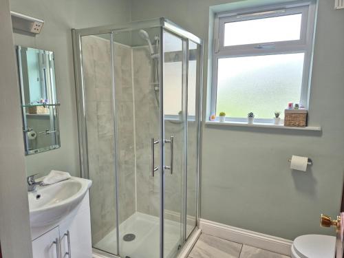 a bathroom with a shower and a sink at Guest Suite in County Limerick in Pallaskenry