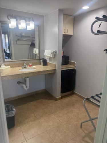 a bathroom with a sink and a mirror at Econo Lodge Naval Station Norfolk in Norfolk
