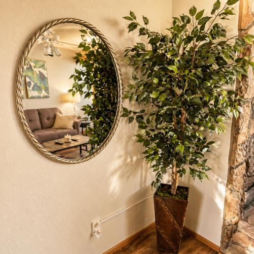 a mirror in a living room with a potted plant at The Calm Cove - Near shopping and entertainment in Osage Beach