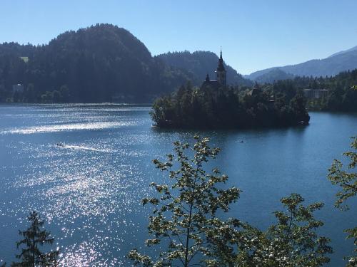 a small island in the middle of a lake at Sovica in Bled