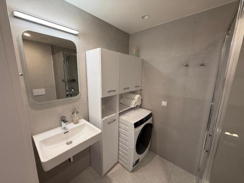 a small bathroom with a sink and a washing machine at Nameja Apartamenti in Riga