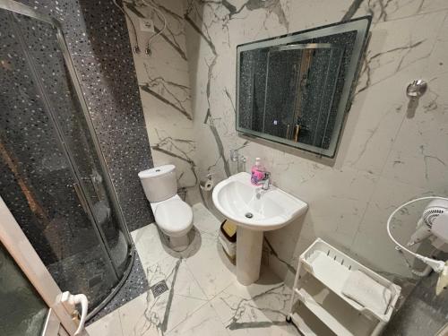 a bathroom with a shower and a toilet and a sink at Emiljano Seaview in Ksamil