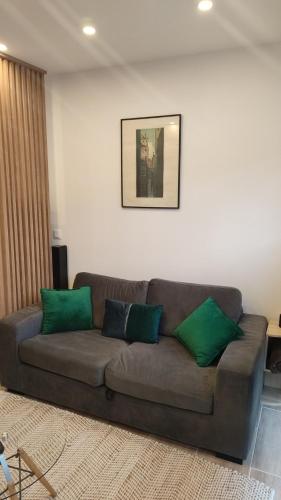 a living room with a brown couch with green pillows at logement indépendant proche des plages in Aimargues