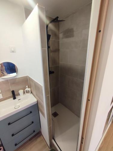 a bathroom with a shower with a sink and a toilet at logement indépendant proche des plages in Aimargues