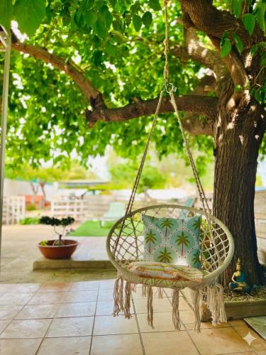 Alicante Garden & BBQ - Estudio con Jardín, Parking Privado y Relax Total
