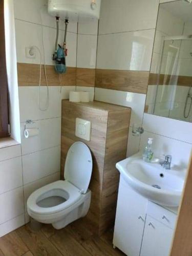 a small bathroom with a toilet and a sink at Domek Anusia in Brożówka