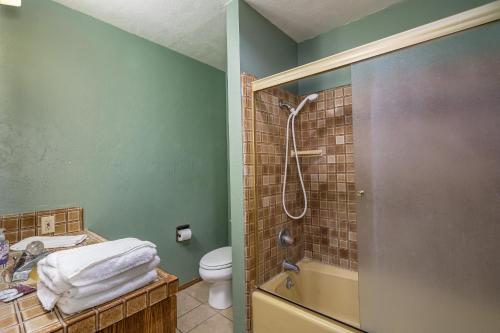 a bathroom with a shower and a toilet and a sink at Mountain Hideway in Coarsegold