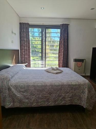 a bedroom with a large bed with a large window at Mariaflorales in San Rafael
