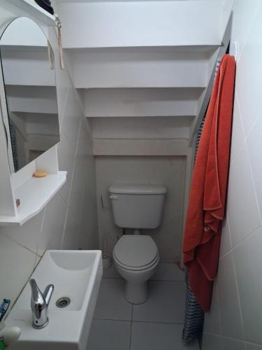 a small bathroom with a toilet and a sink at Loft Junín in Junín