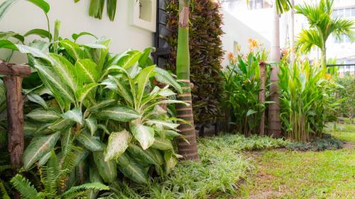 a garden with green plants and a fence at Mhonsa Hotel in Chiang Mai