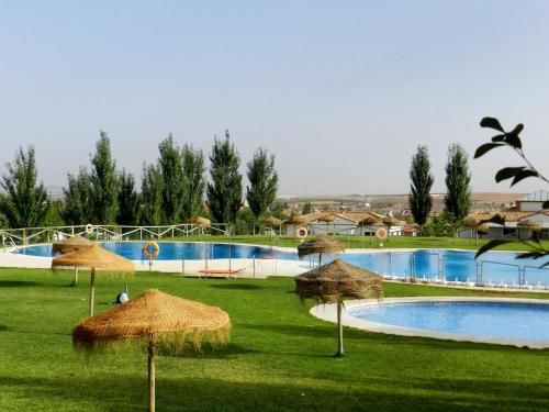 a resort with a swimming pool and straw umbrellas at Camping la Sierrecilla in Humilladero