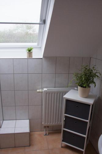 a bathroom with a radiator and a plant on a table at Dahlmanns Pension am Park in Oranienbaum-Wörlitz