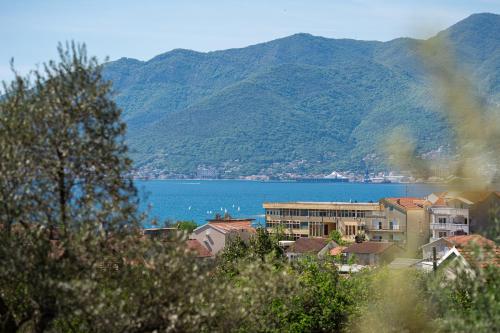a town with a view of a lake and mountains at M Group Studios in Tivat