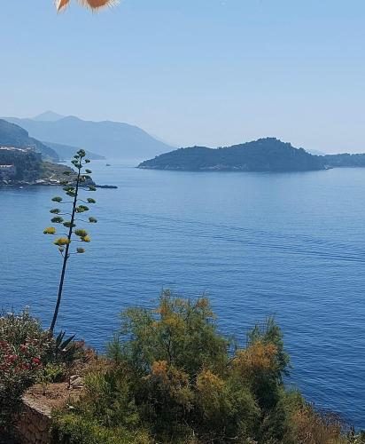 Dubrovnik Serenity- Beachfront Apartment with Panoramic Sea View and free Parking