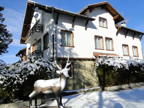 Fotografie z fotogalerie ubytování Family Hotel Nezabravka v destinaci Gabrovo