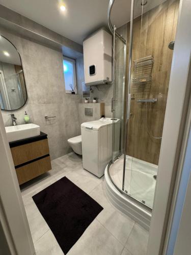 a bathroom with a shower and a toilet and a sink at MoRze MielNo in Mielno