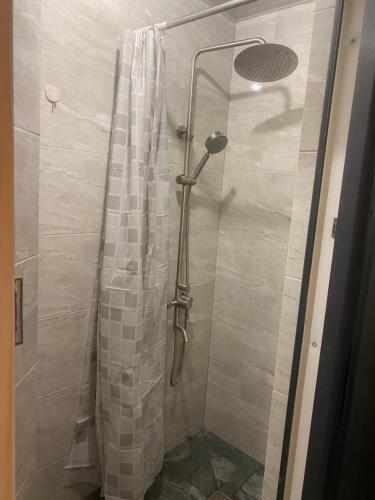 a shower with a shower curtain in a bathroom at Агрооселя Ростоки in Zhdanivka