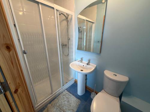 a bathroom with a toilet and a shower and a sink at 10 Mill Square in Portstewart
