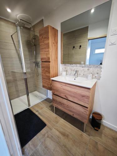 a bathroom with a sink and a shower at Bambou Zen Room in Rang-du-Fliers