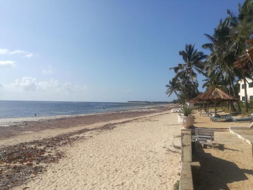 a beach with a bench and palm trees and the ocean at Crystal Apartments in Malindi