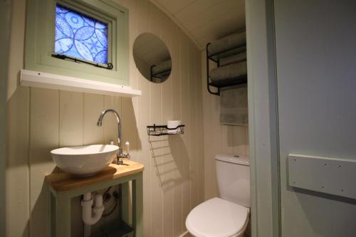 a bathroom with a sink and a toilet at Spinney Wood Glamping, Oak Hut in Bewdley