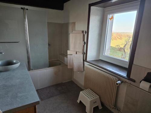 a bathroom with a shower and a sink and a window at La P'tite Chaumiere in Domaize