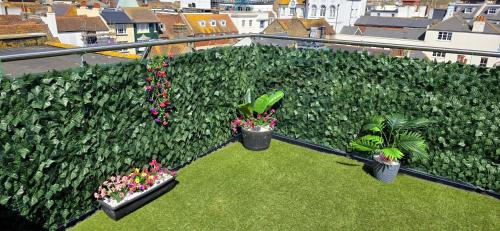 Luxury 1 Bed Apt Central Brighton Private Garden Sleeps 6 photo 32
