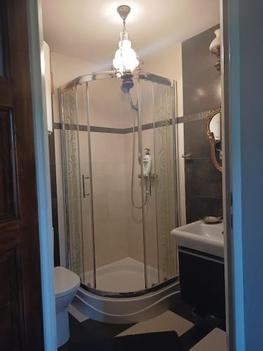 a bathroom with a shower with a toilet and a sink at Chata za Wsią u Kowalików in Skała