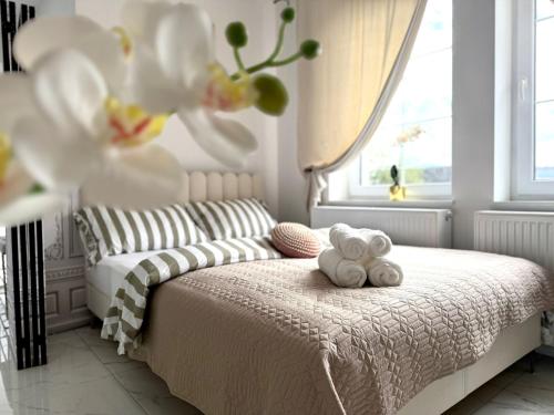 Apartament Biały