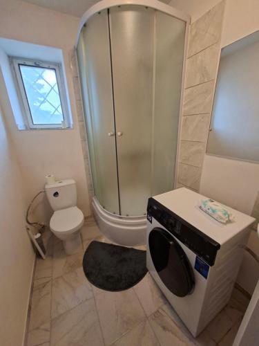 a small bathroom with a shower and a toilet at Byt v okresu Děčin in Dolní Habartice