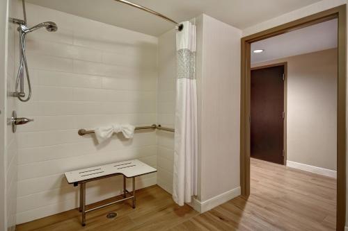 a bathroom with a shower curtain and a table at Hampton Inn Auburn in Auburn