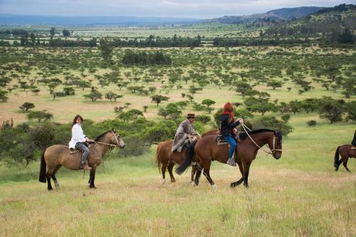 a group of people riding horses in a field at Hacienda Historica Marchigue in Marchihue
