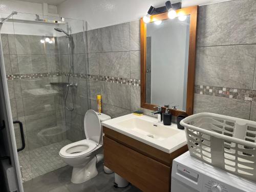 a bathroom with a toilet and a sink and a shower at Ti kaz belair in Le Diamant